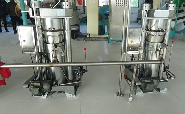 核桃�?.jpg
